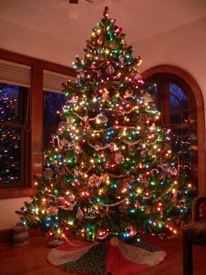 Illustration for article titled Photo Contest: Christmas Lights